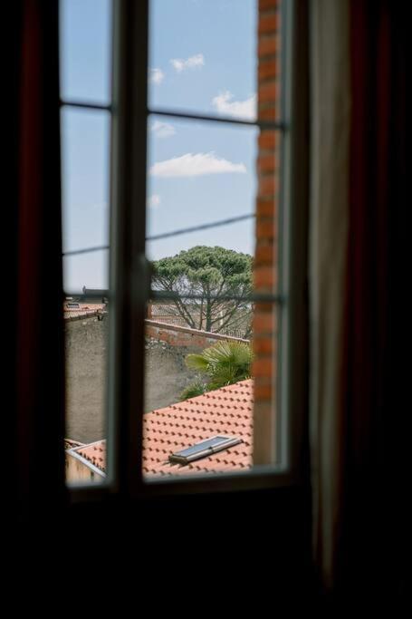 L'Oasis - Charme Et Confort Au Centre-Ville - Clim Albi Dış mekan fotoğraf